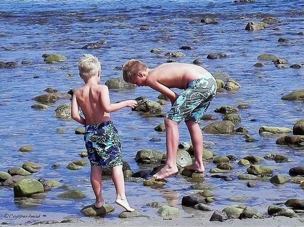 Boys of Summer, Malibu Beach California