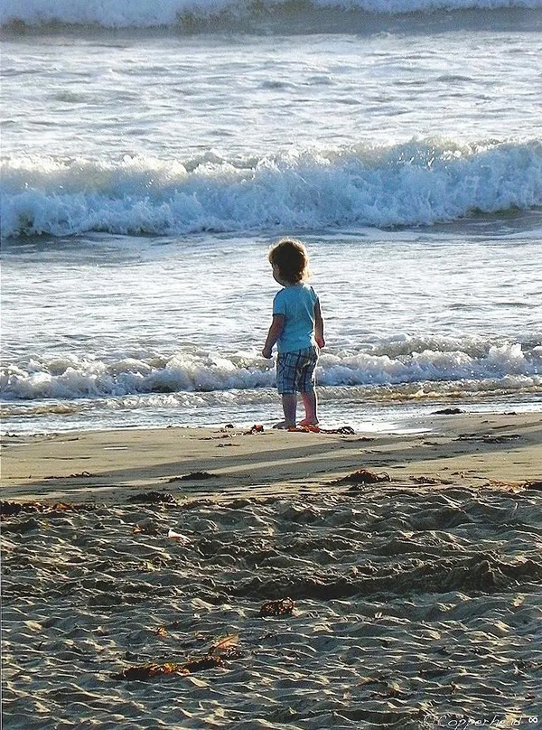 Wonder-  Pismo Beach California