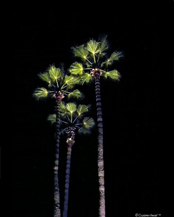 Mirage-  Laguna Beach California