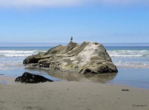 The View From Here-  Pismo Beach California