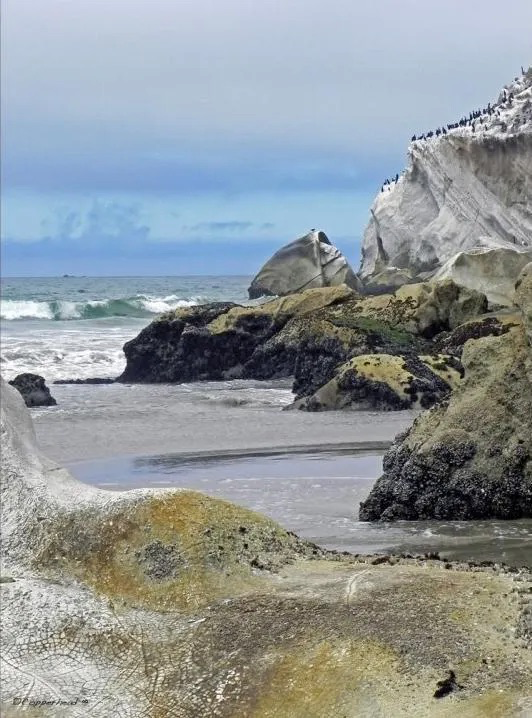 Steps- Pismo Beach California