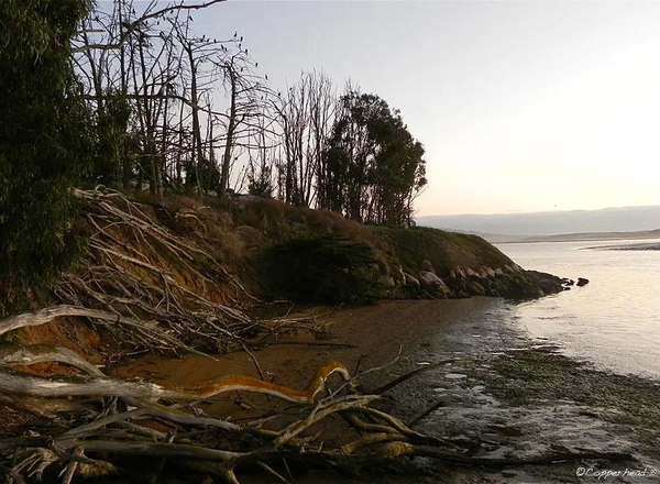 The Edge- Morro Bay California