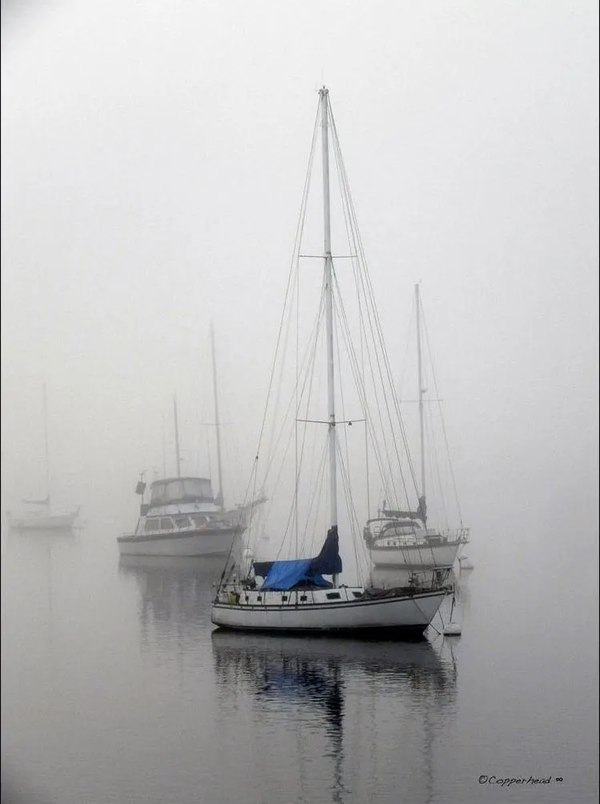 In The Mist of Morro- Morro Bay California