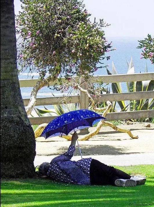 Sun Day- Santa Monica California