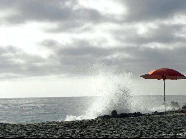 Loner-  Laguna Beach California