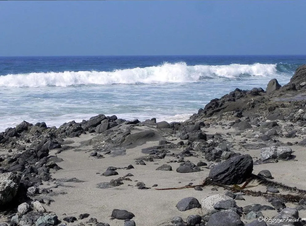 Tide-  Laguna Beach California