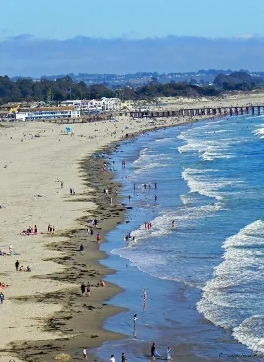 Greetings From Pismo Beach- Pismo Beach California