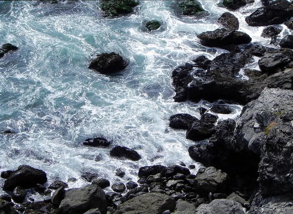 Charcoal- San Simeon, San Luis Obispo California