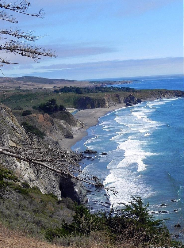The Climb- Big Sur California