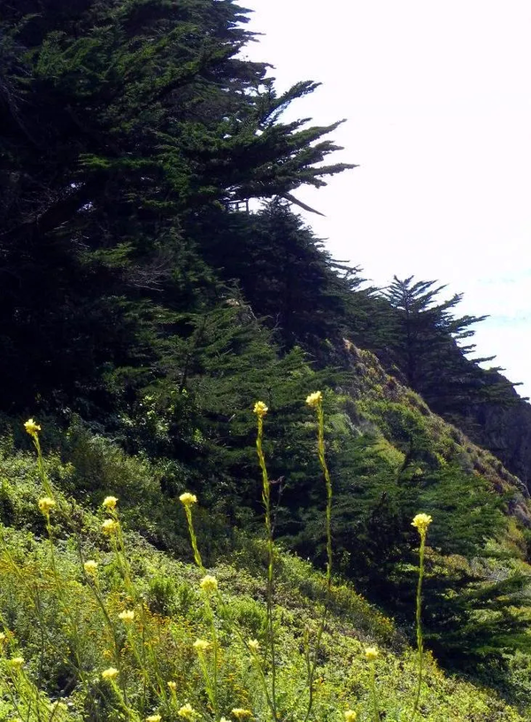 Commune- Big Sur California
