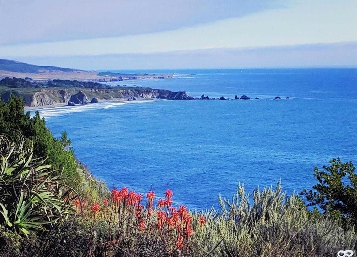 Big Sur California Photo Note Cards