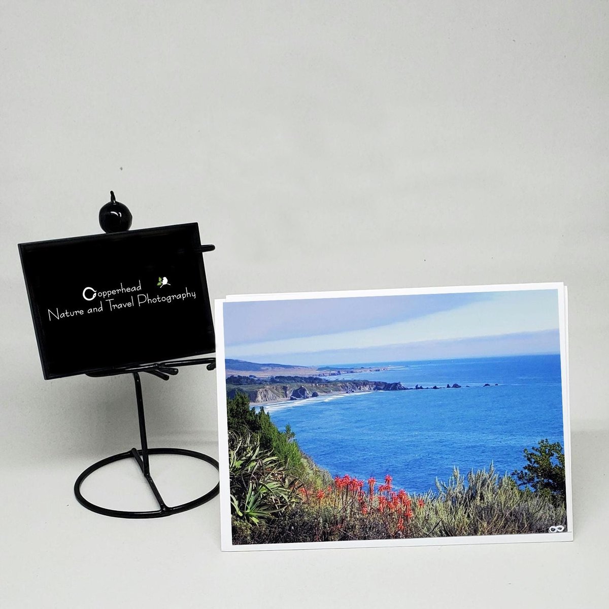Big Sur California Photo Note Cards