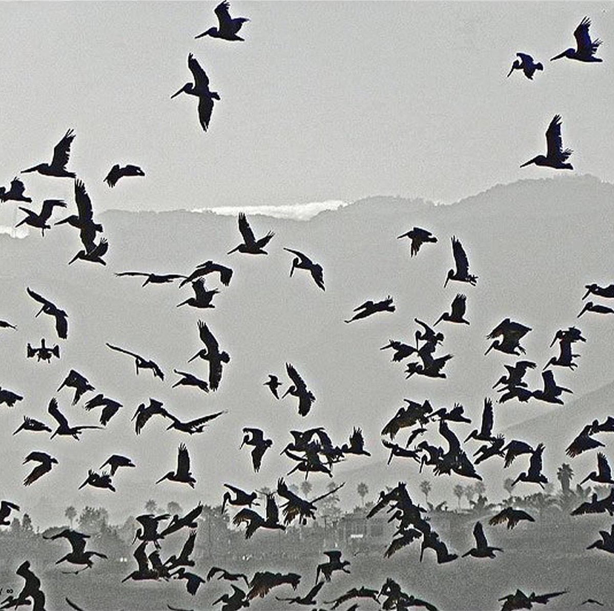 Pismo Beach California Photo Note Cards