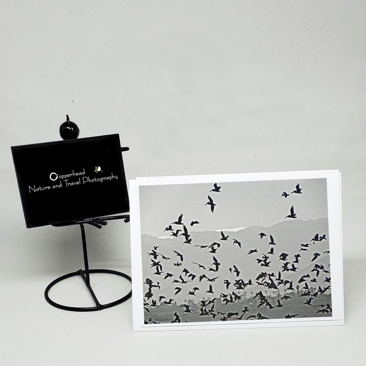 Pismo Beach California Photo Note Cards