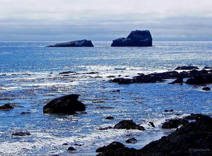 Morro Bay California Photo Note Cards