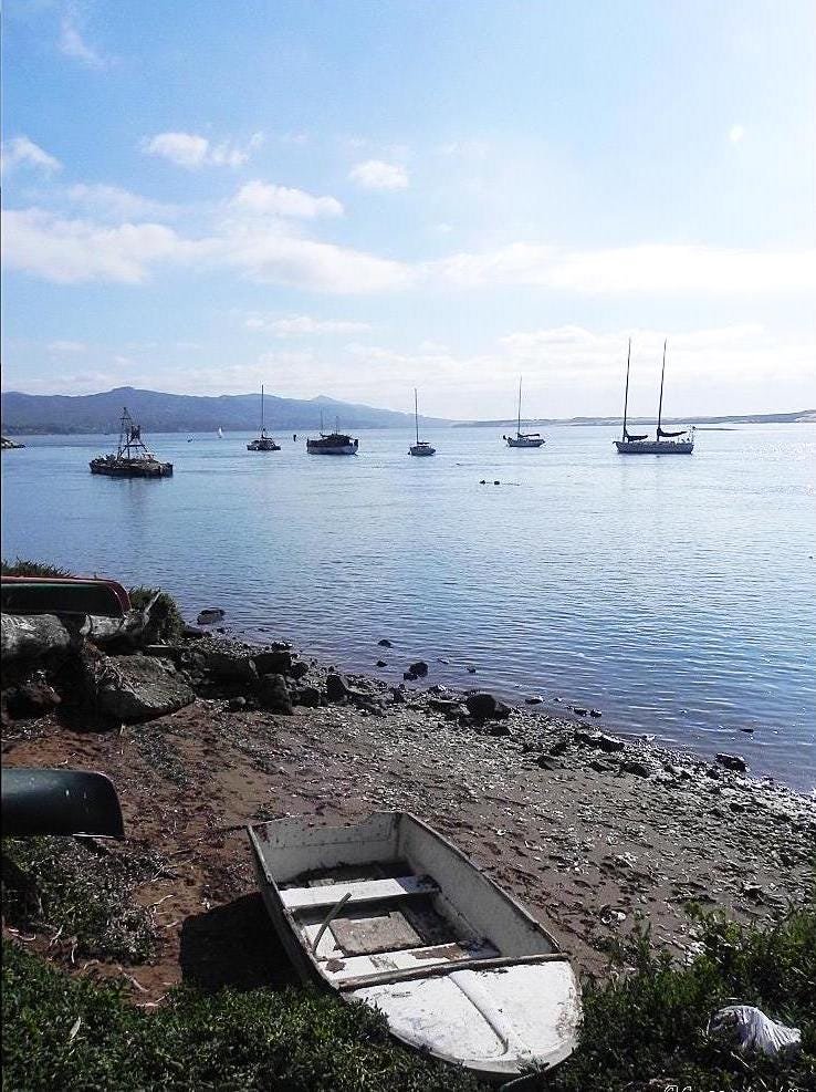 Morro Bay California Photo Note Cards