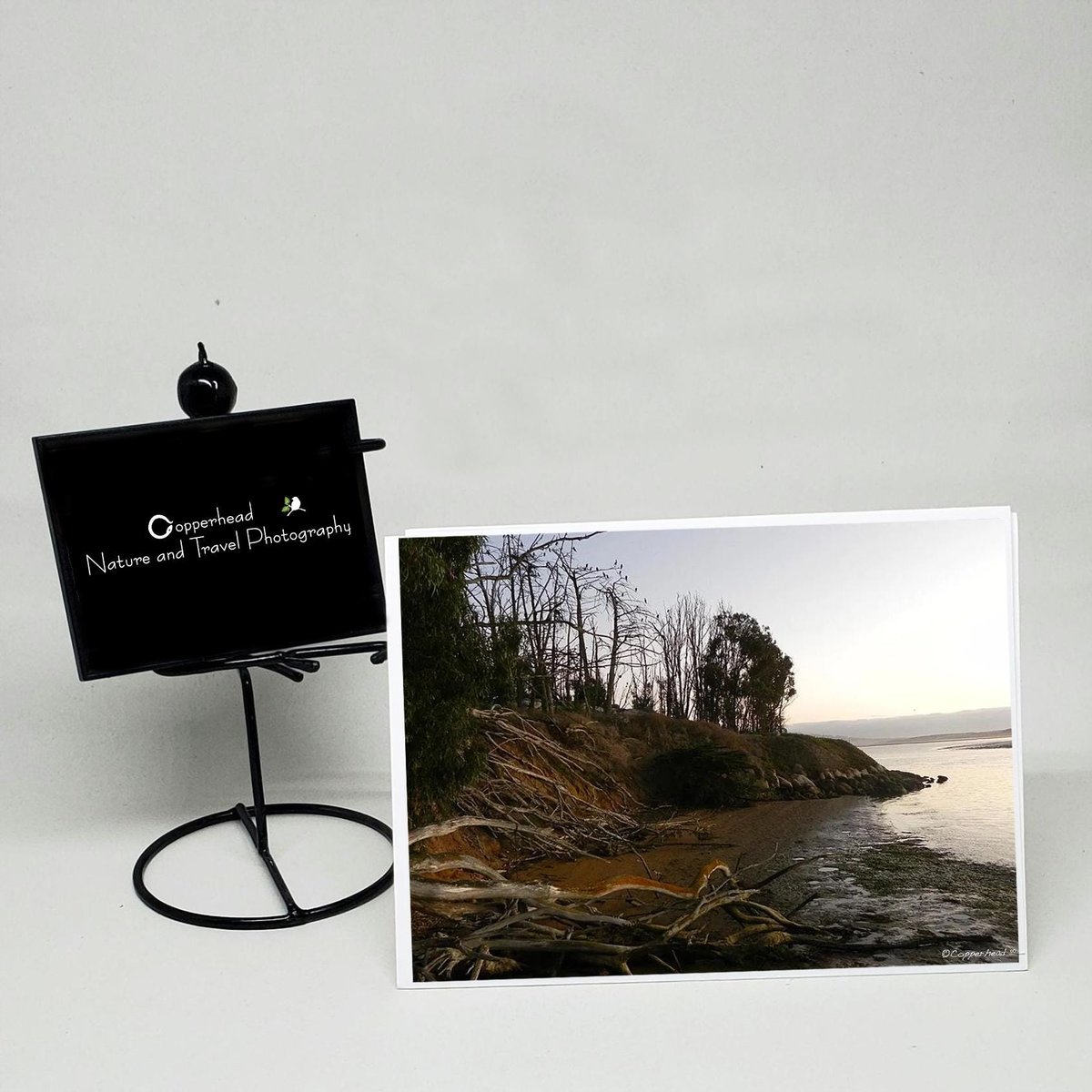 Morro Bay California Photo Note Cards