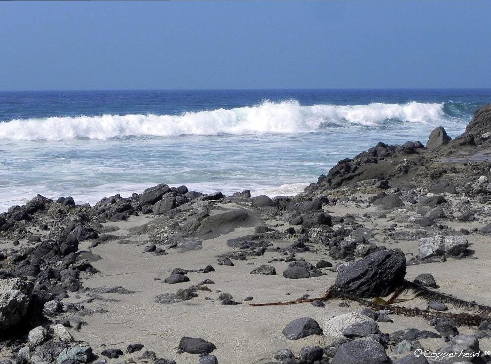 Laguna Beach California Photo Note Cards