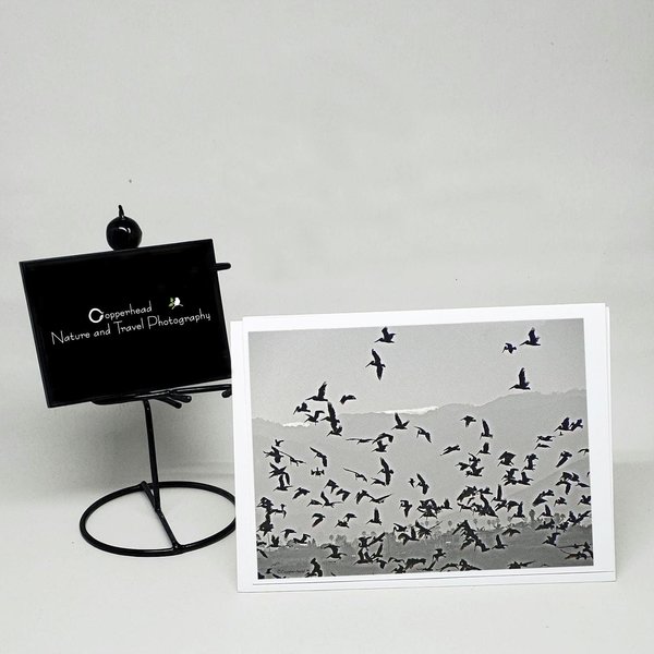 Pismo Beach California Photo Note Cards