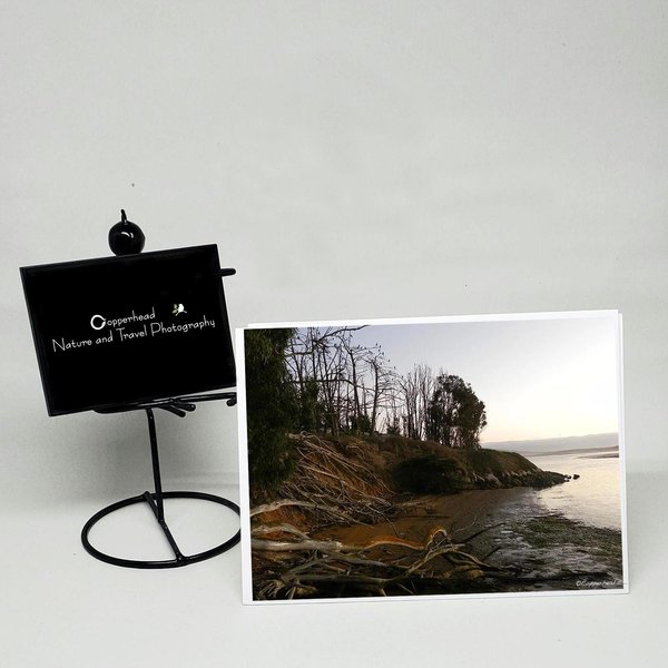 Morro Bay California Photo Note Cards